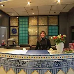 فندق دي لوير 3*