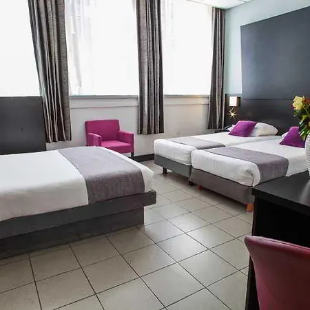 فندق دي لوير 3*